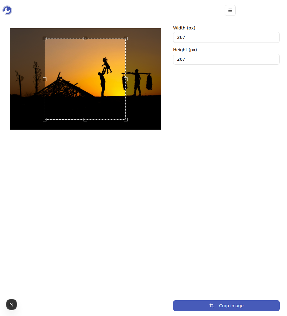 The crop editor with drag handles and pixel inputs